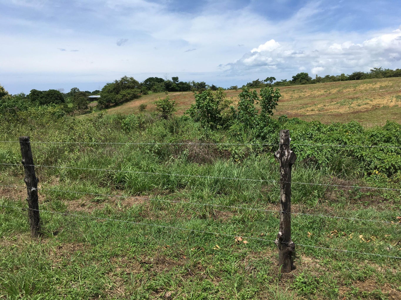 Commercial Property for Sale in SanCarlos Panamá Province 07033